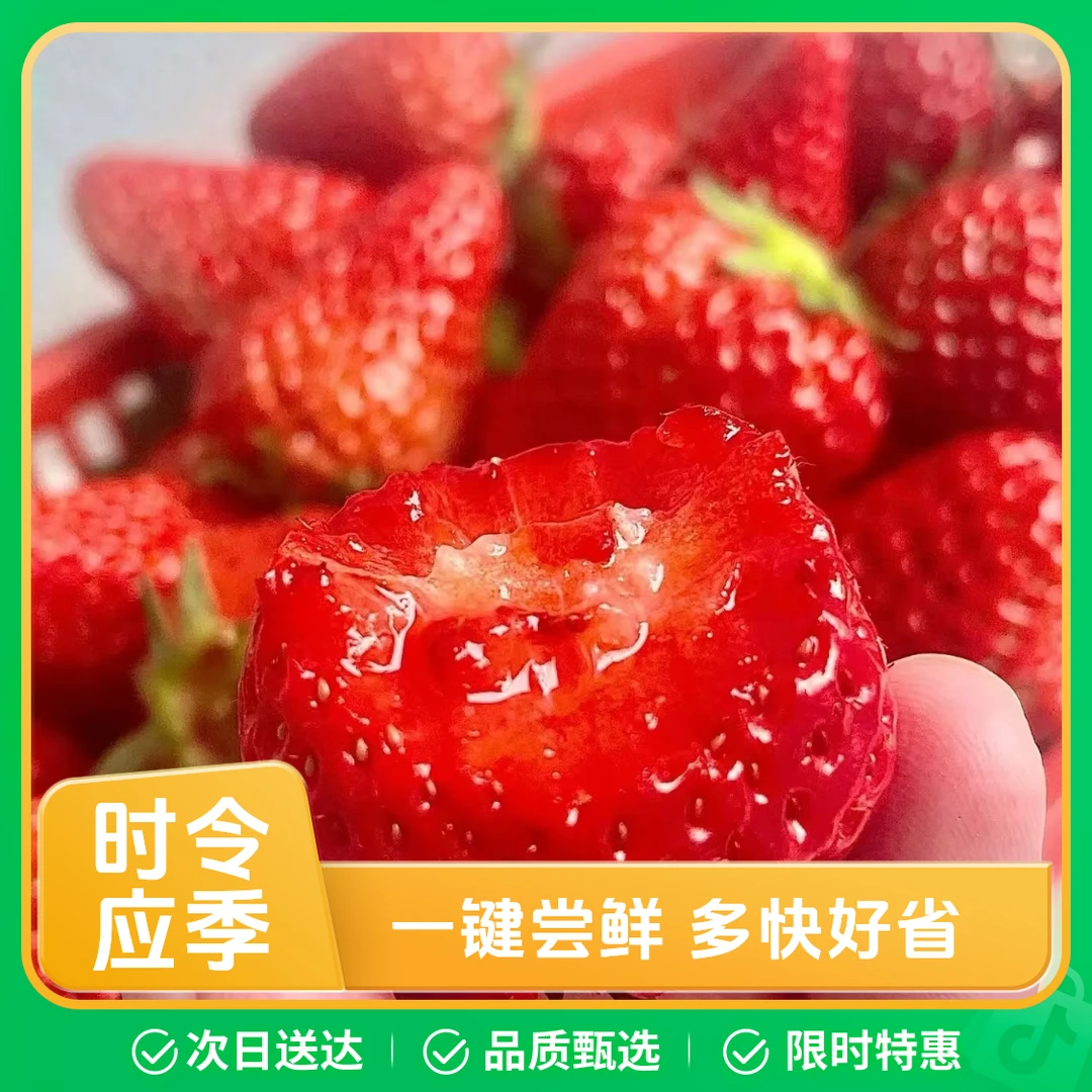 【丹东九九草莓产地直发2-4斤】回馈粉丝福利长春地区顺丰包邮99草莓中国大陆