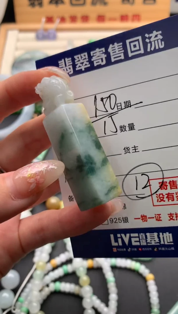 翡翠未镶嵌颈饰10135846