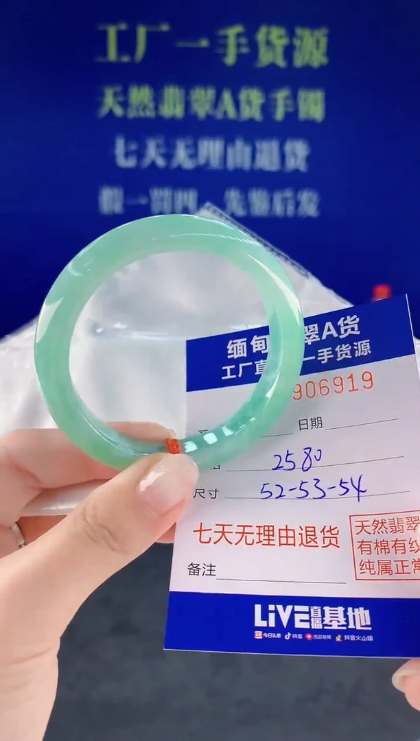 未镶嵌手镯翡翠19