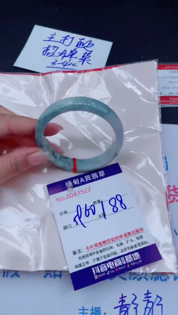 未镶嵌手镯翡翠