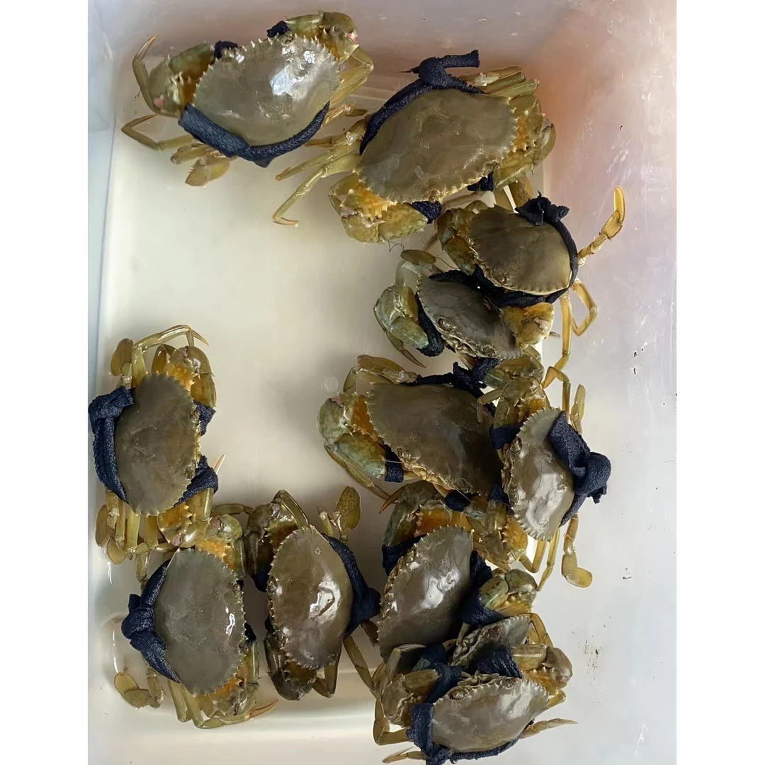 惠女赶海小青蟹【半斤以下包扩半斤（5两/250克）】直播间现称链接