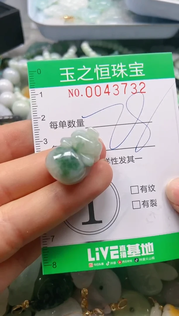 【闪购商品】翡翠颈饰未镶嵌闪购0043732