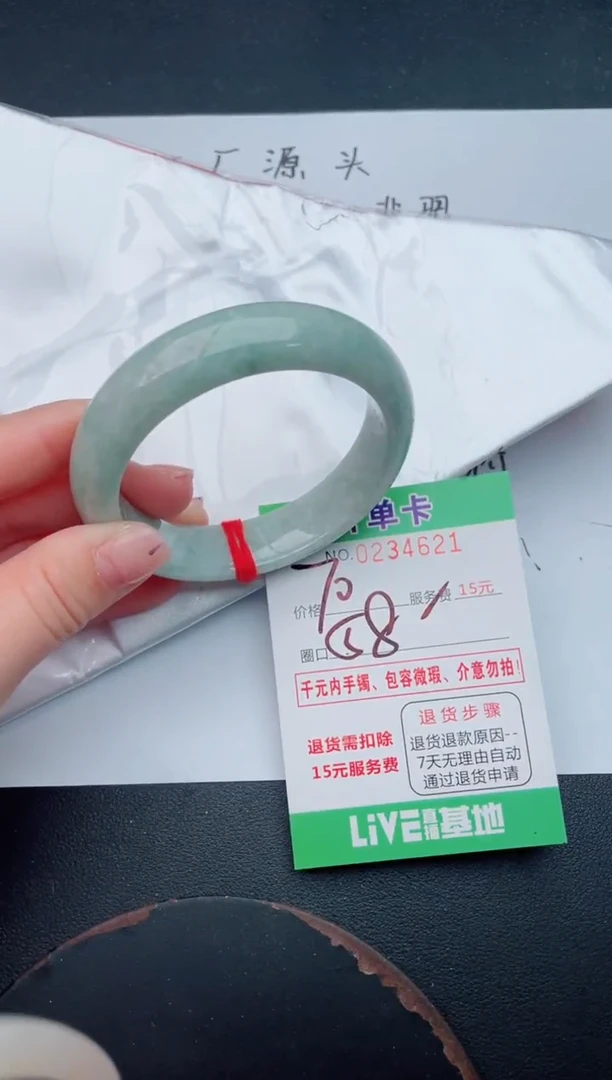 未镶嵌手镯翡翠21