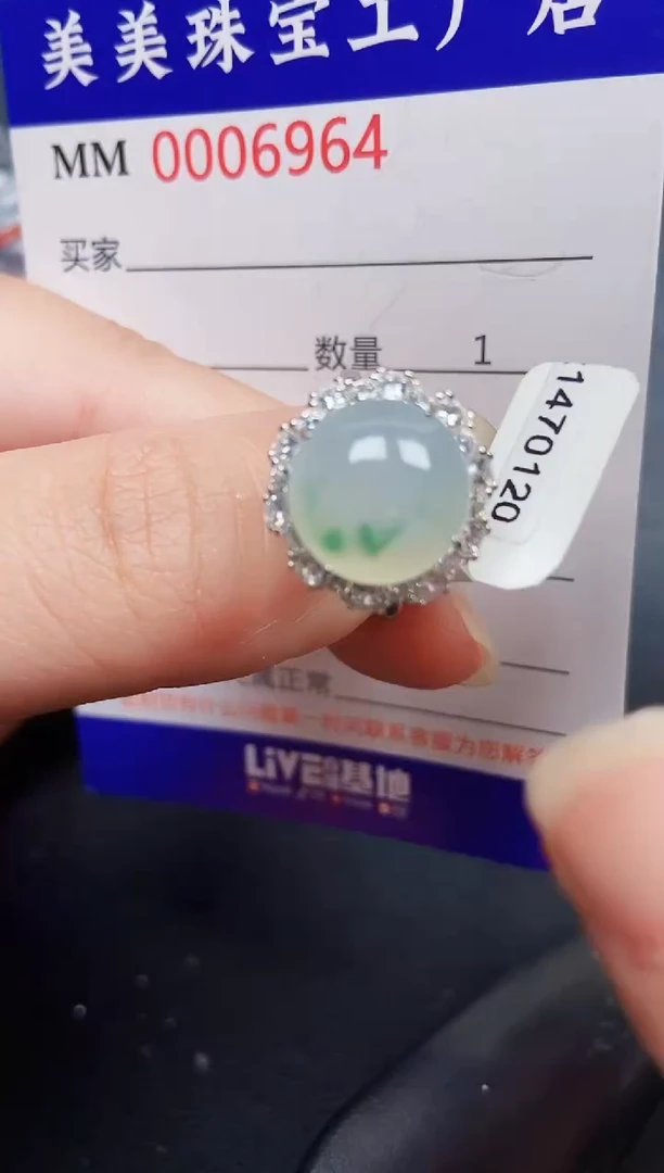 翡翠银S925镶嵌颈饰6964