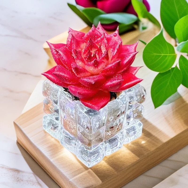 无土卡宴1颗(含白水晶花器