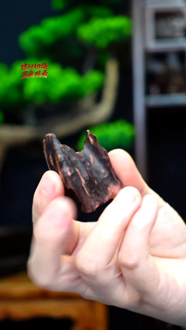 木本降真香红降花梨公随型原料