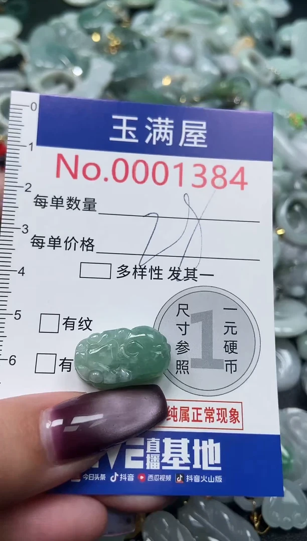 颈饰未镶嵌翡翠1384
