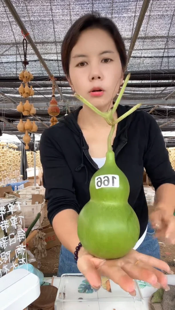 166天然葫芦摆件 一物一拍龙头不保售后