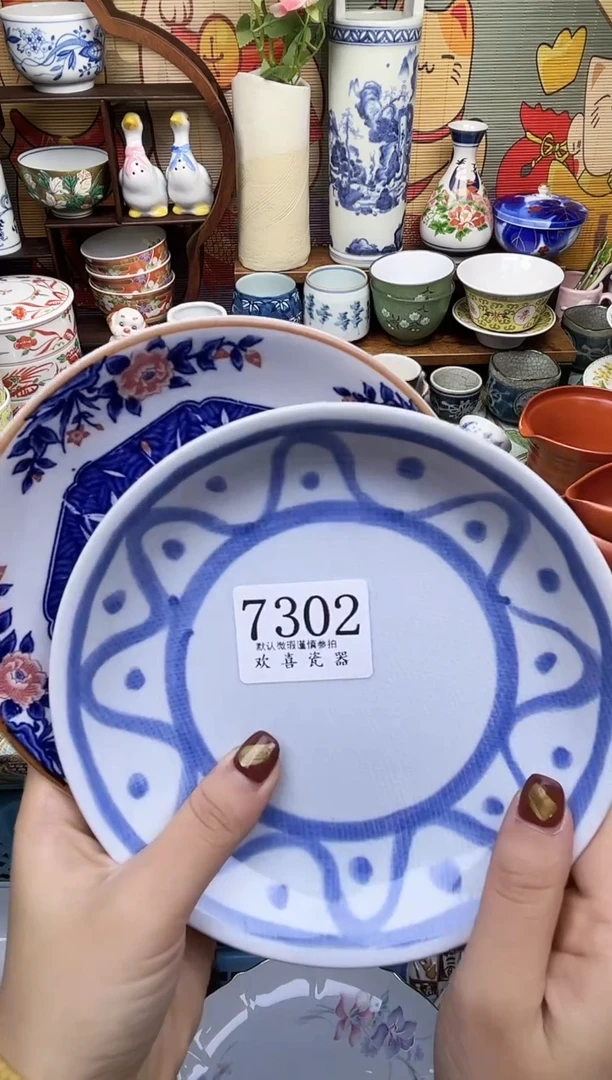 瓷片用****9    7302