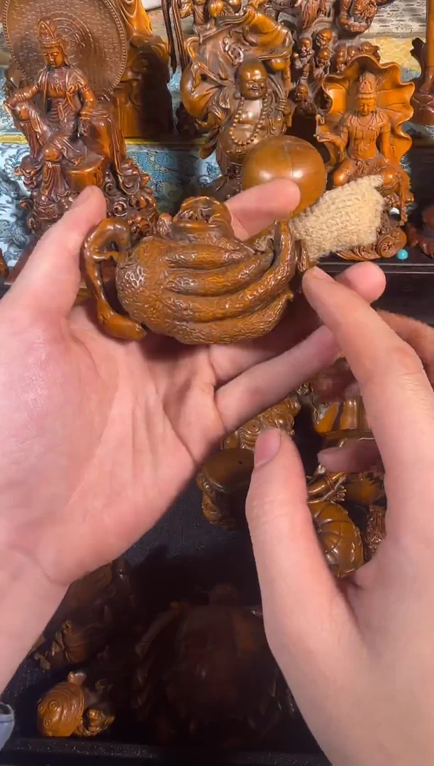 黄杨木11111111111111