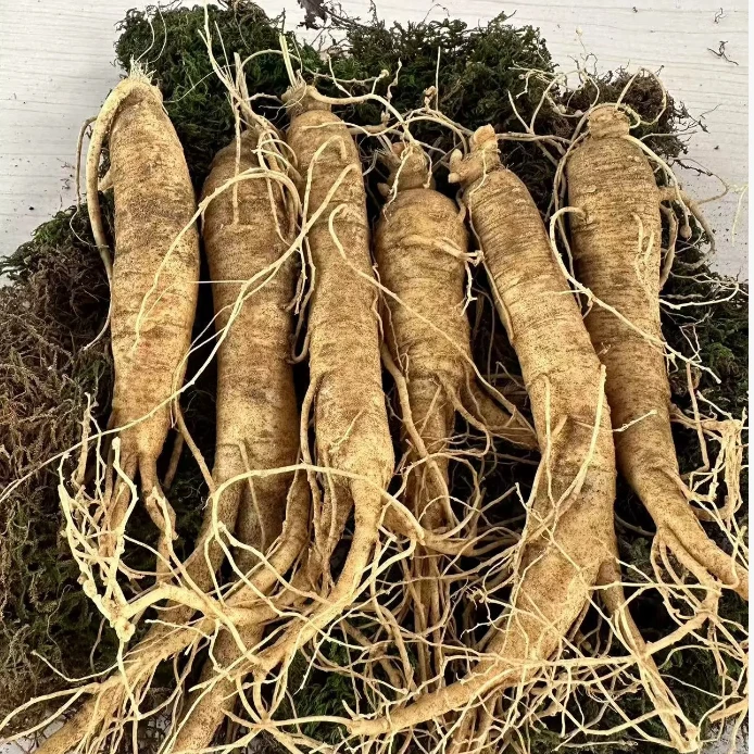 X 【展会专享】 西洋参