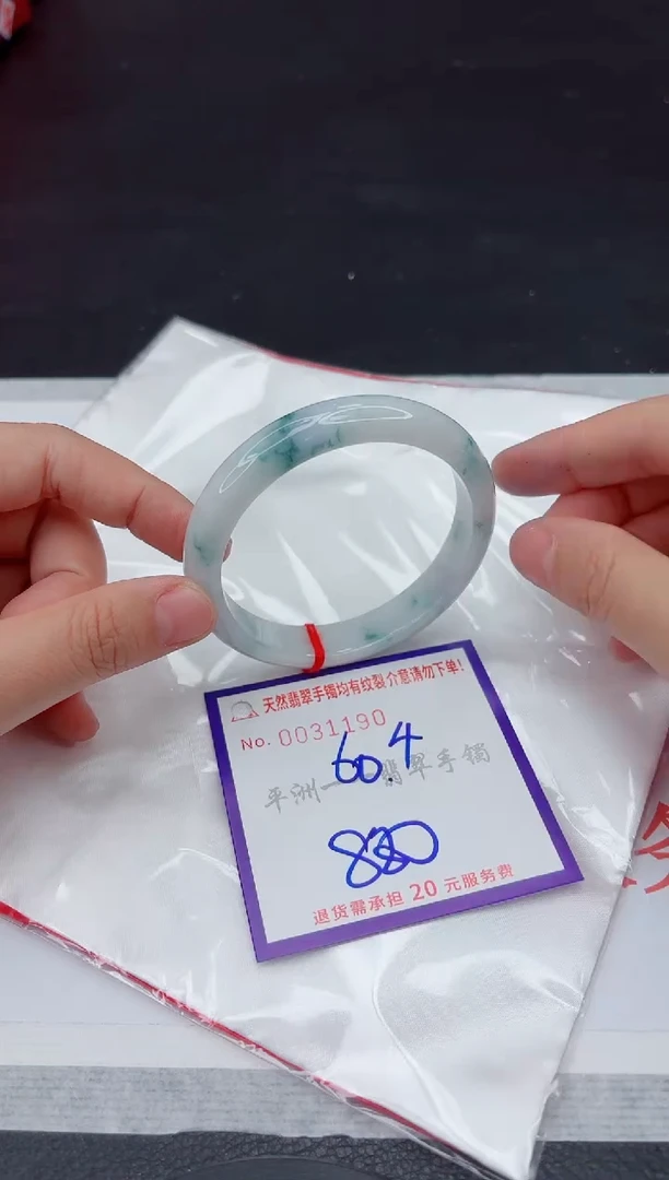 未镶嵌手镯翡翠11111