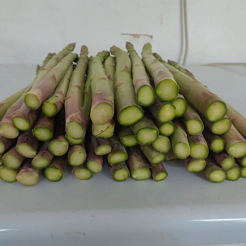 精品大芦笋  粗芦笋 青芦笋新鲜芦笋农家绿芦笋新鲜蔬菜 龙须菜