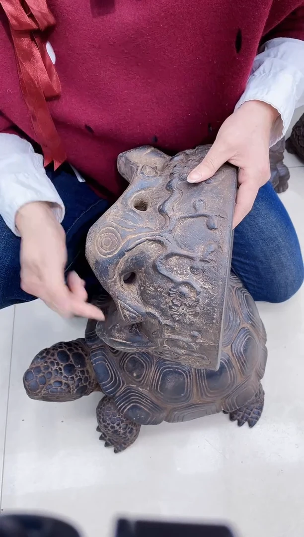 【闪购商品】复合盆b1-001