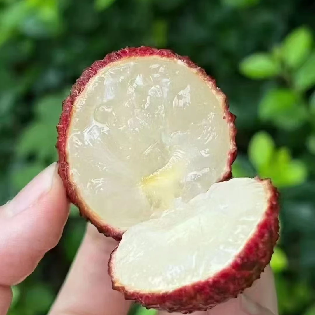 海南无核荔枝2.5斤次日达荔枝同城送新鲜