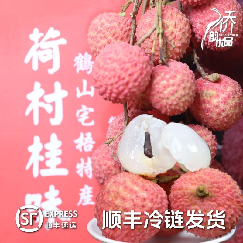 广东鹤山宅梧荷村桂味荔枝5斤/10斤装荔枝老树新鲜现摘采摘