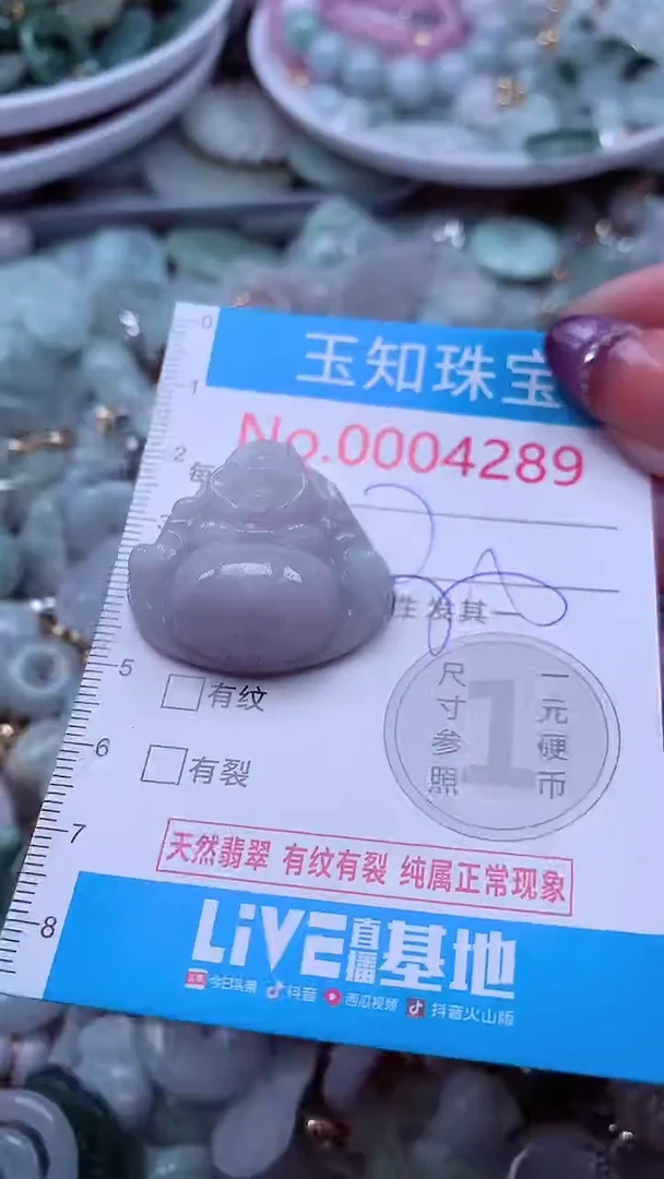 翡翠未镶嵌吊坠(不含链)4289