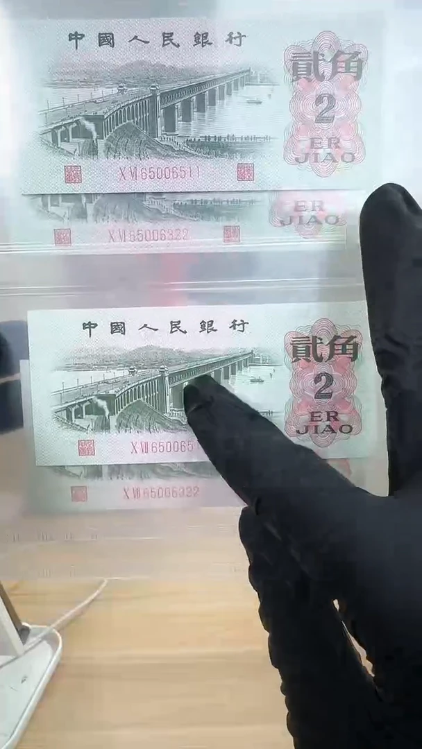 筱-国评大桥双胞胎无47双尾