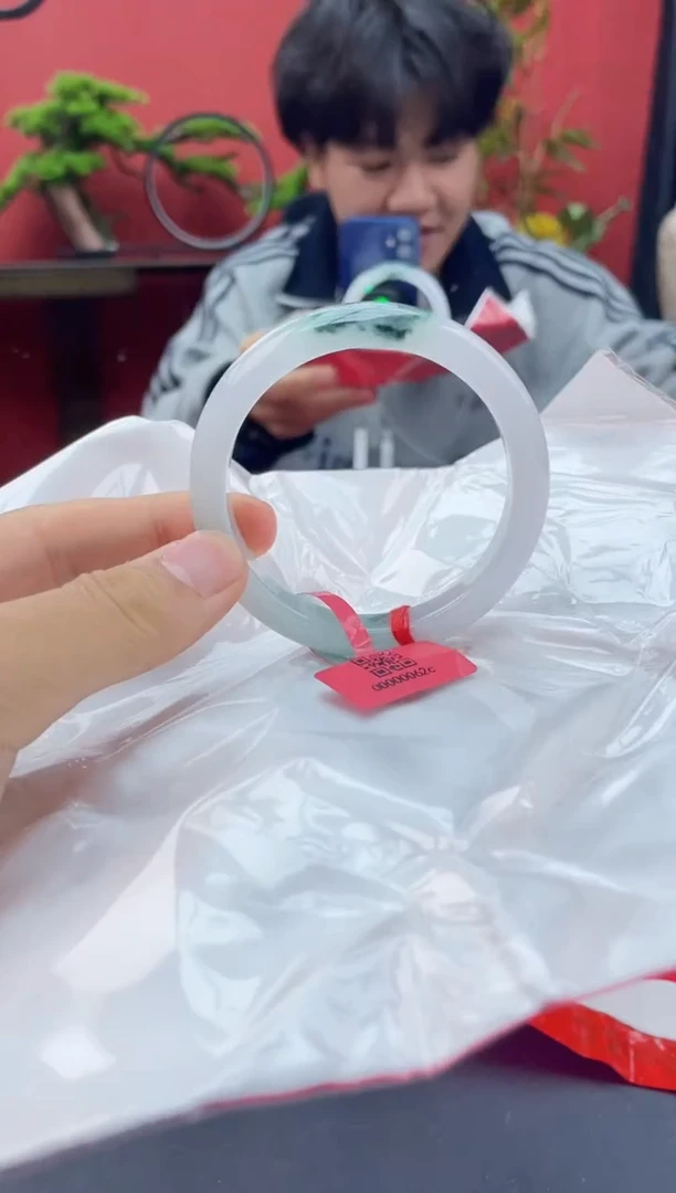 未镶嵌手镯翡翠13