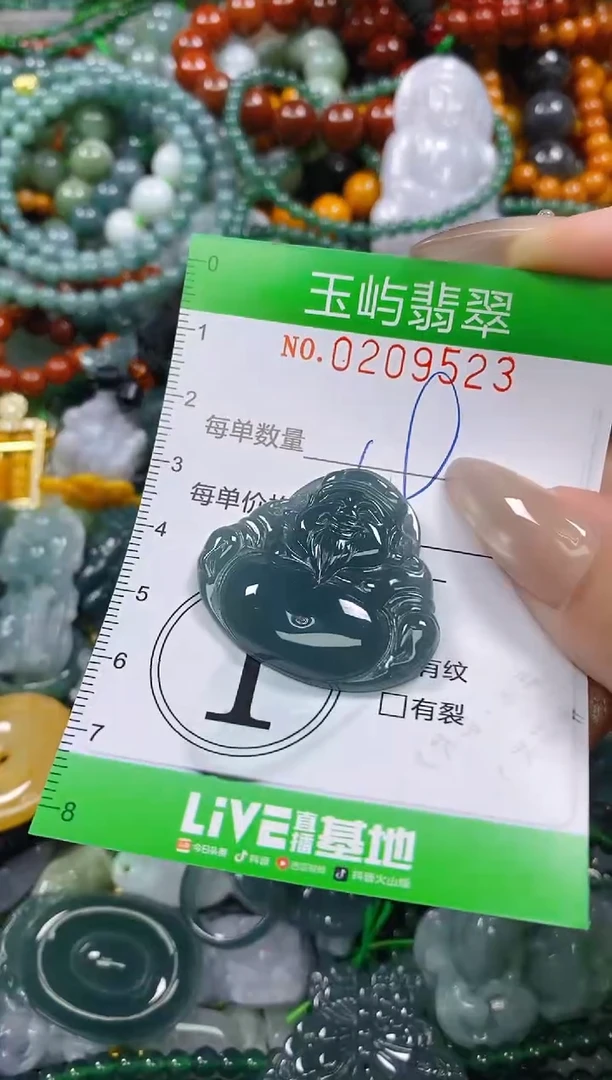 颈饰未镶嵌翡翠闪购0209523