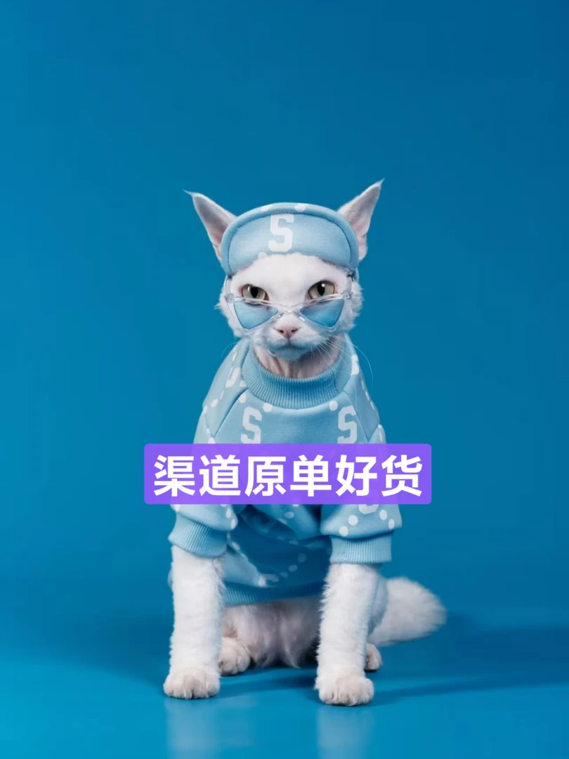 5号-【超越】-TX8003-简约小a长袖夏季尚重磅上新潮奢长袖男女同款