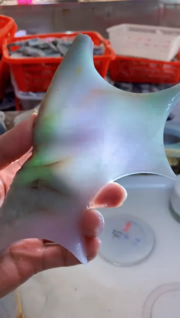 翡翠未镶嵌颈饰0朗0翡翠珠宝 682