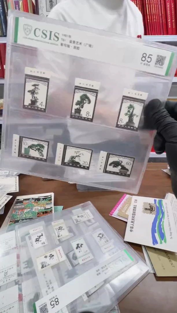 T61 盆景艺术 厂铭