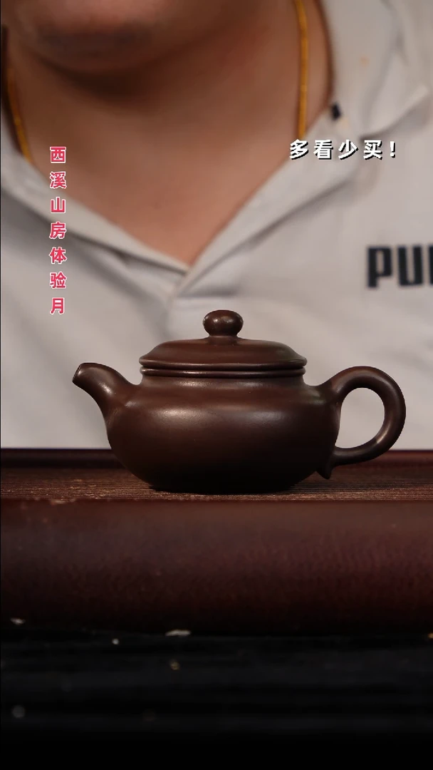 茶壶紫砂紫砂壶紫砂壶非自营