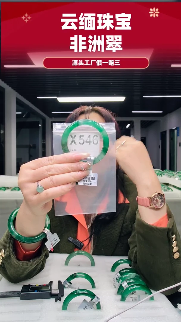 未镶嵌手镯石英质玉（非洲翠）57圈口X546