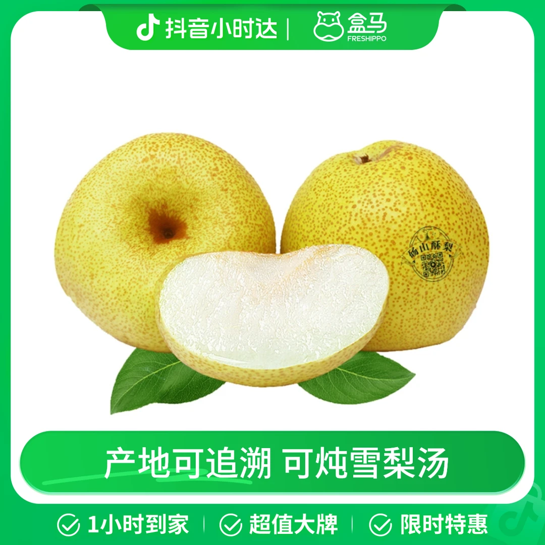 砀山百年老树梨 4粒装(单果300g起)