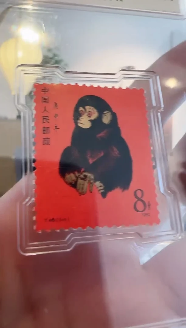 T46 一轮猴单枚-评级封装