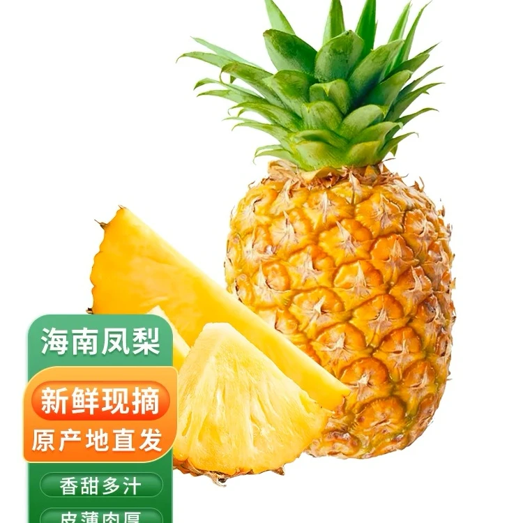 海南金钻凤梨新鲜现摘孕妇应季热带水果一整箱包邮