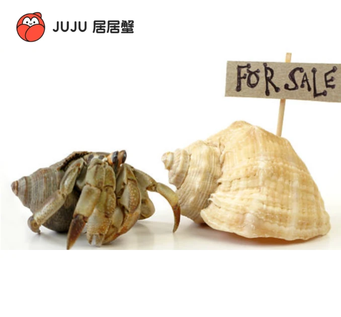 【选蟹再下单】迷你造景宠物 儿童礼物 直播挑选