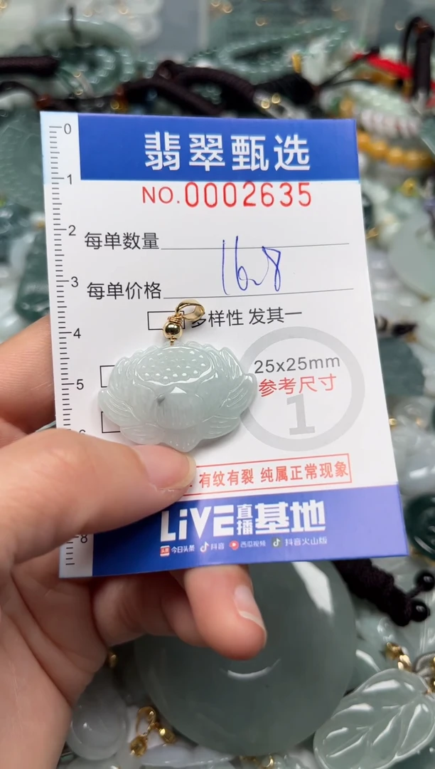 【闪购商品】翡翠颈饰未镶嵌00..2635