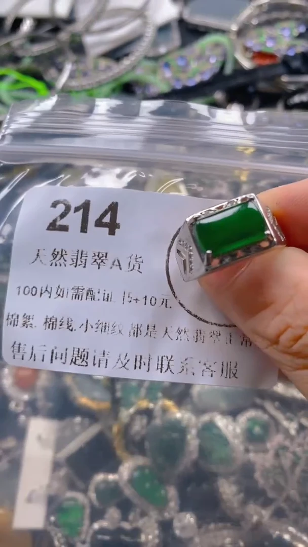翡翠未镶嵌吊坠(不含链)214