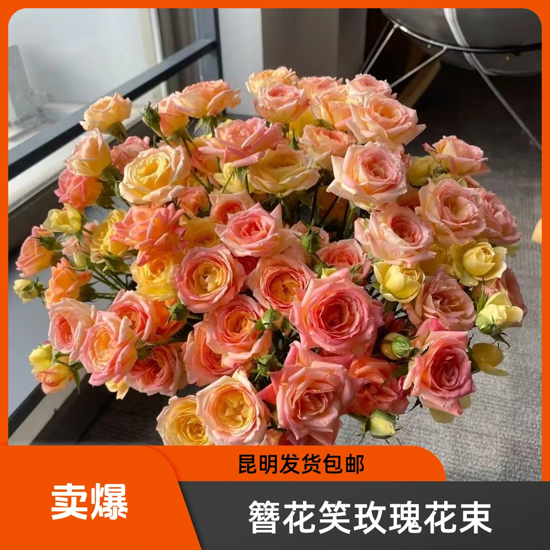 簪花笑多头玫瑰一单包邮云南昆明发货鲜切花家居水养