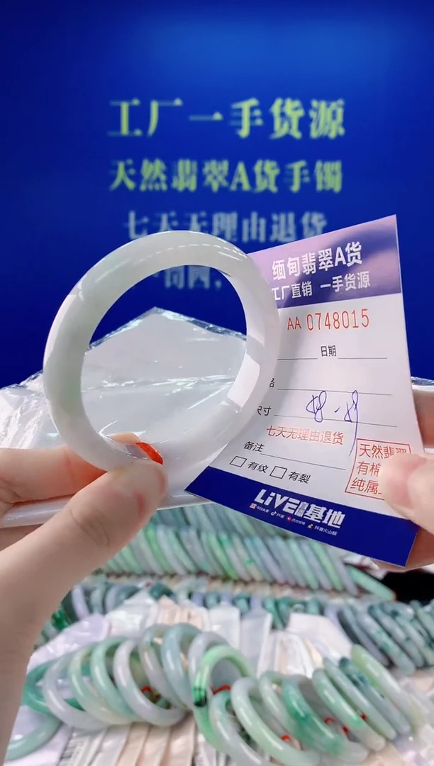 未镶嵌手镯翡翠15