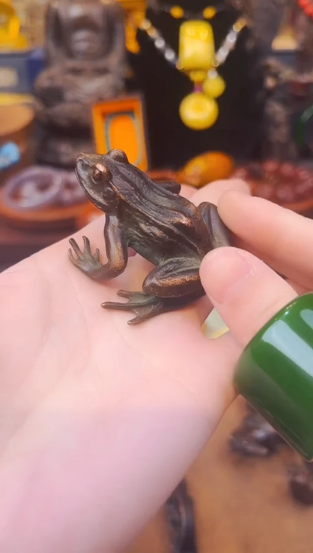 【闪购商品】大美专属宠粉链接13
