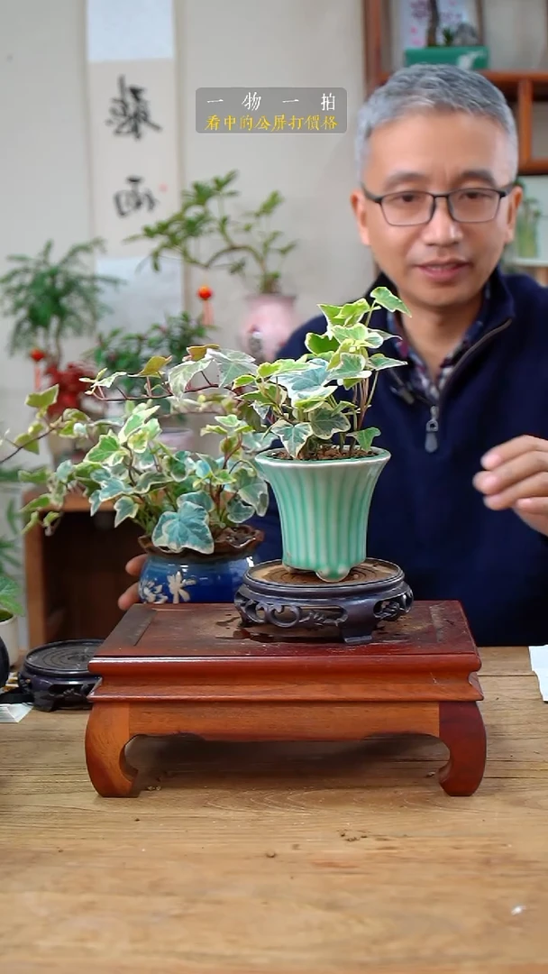 完全开放半*雪莹498