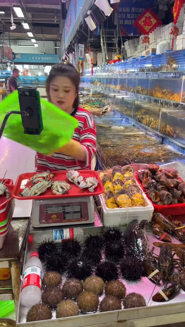 中国大陆断氧母飞飞，6只，2.5斤