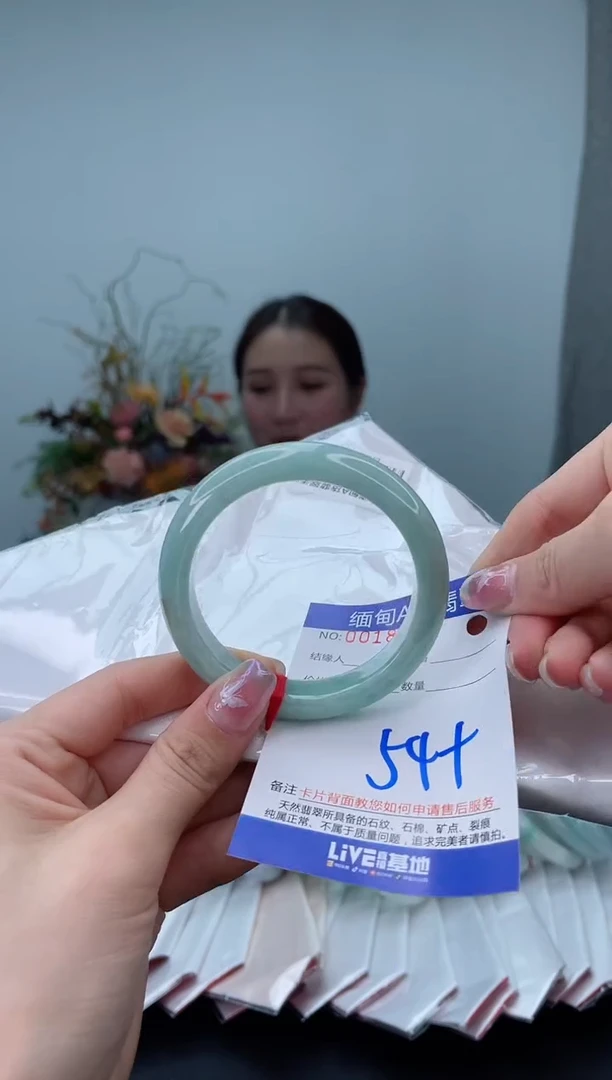 未镶嵌手镯翡翠1