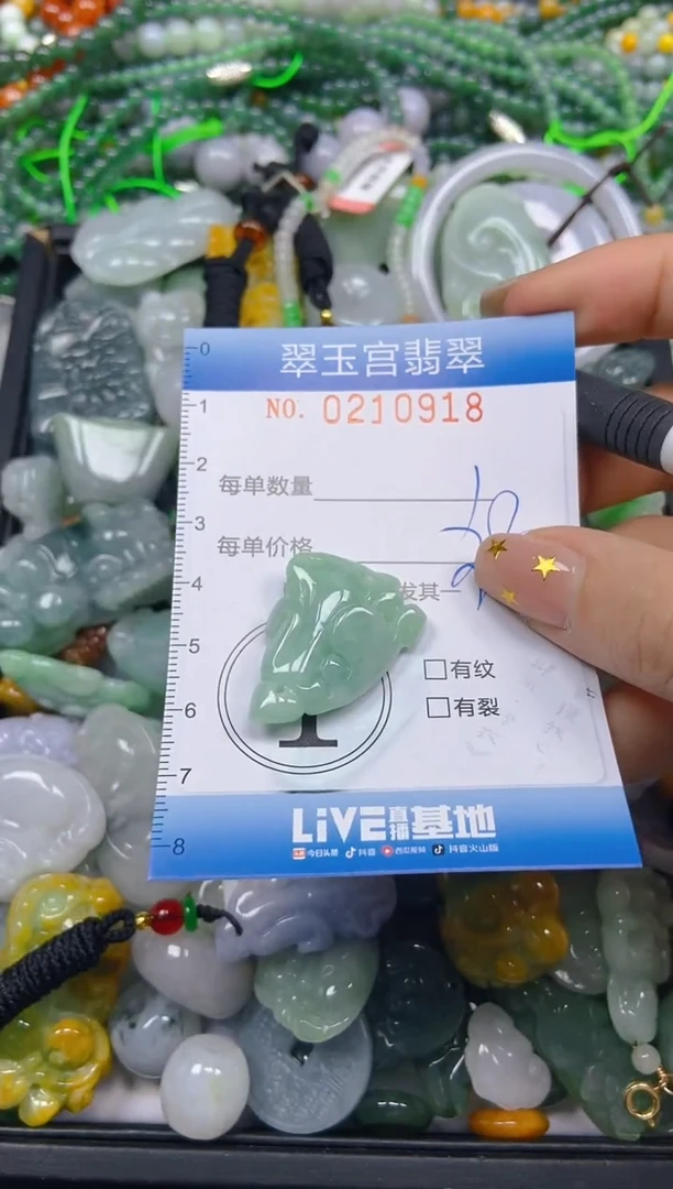 颈饰未镶嵌翡翠闪购C0210918