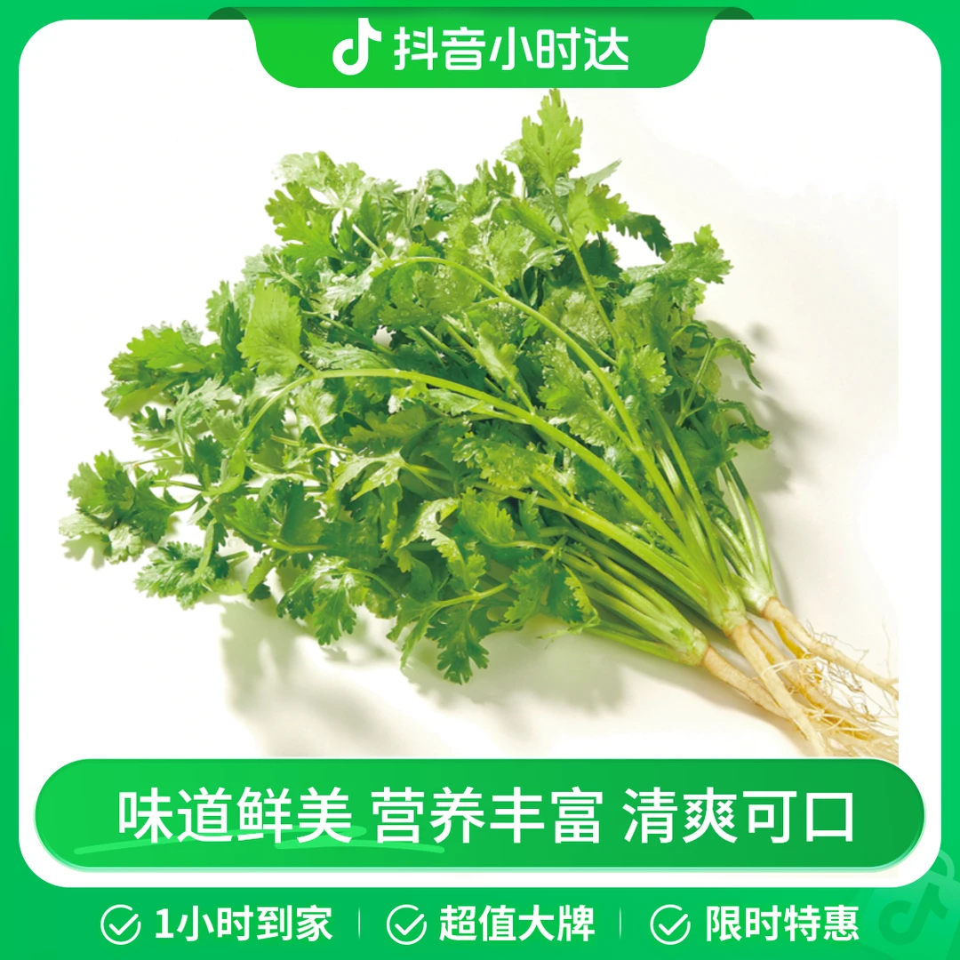 香菜(100g)