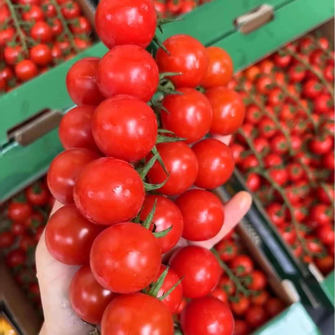 串串千禧一斤500克