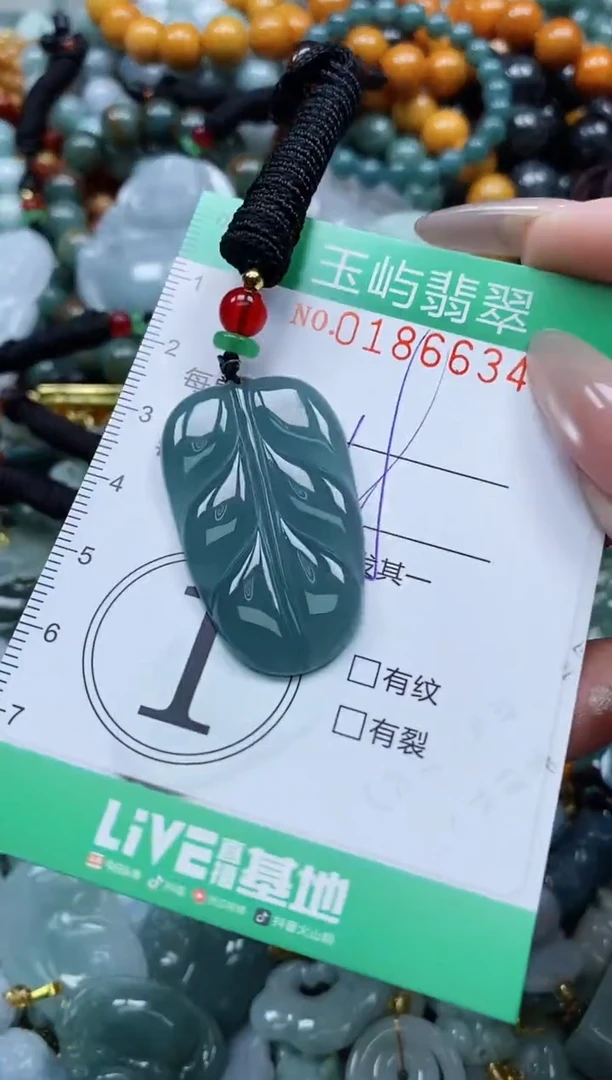 翡翠未镶嵌颈饰闪购0186634