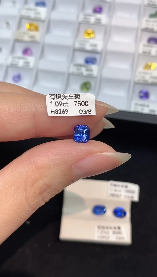 裸石蓝宝石1.09CT H8269 CG/B