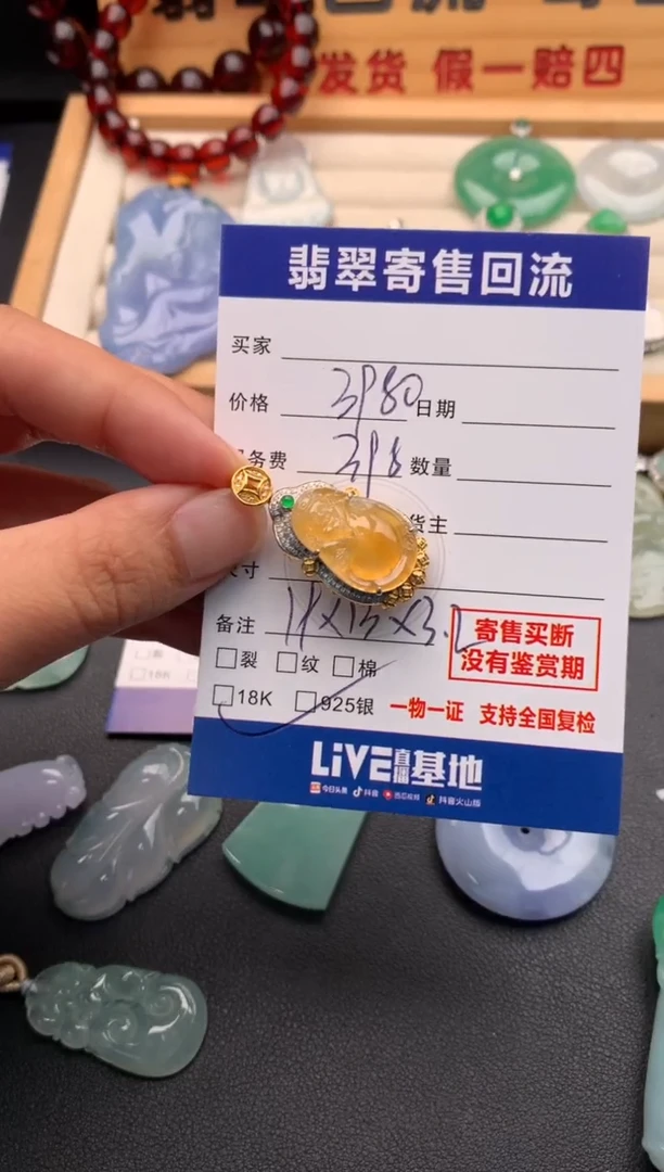 颈饰18K金镶嵌翡翠10146317