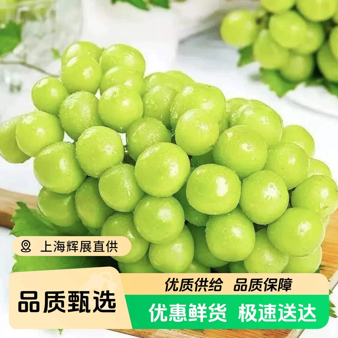 【云南晴王】葡萄晴王无籽青提当季葡萄水晶葡萄新鲜提子脆甜包邮云南省