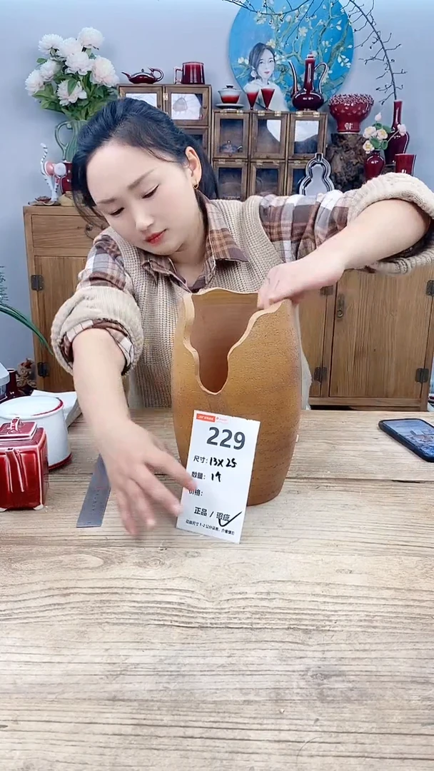 【闪购商品】红陶229