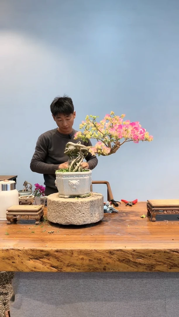 【闪购商品】aa906